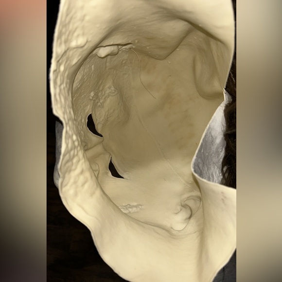 Michael Myers mask - Picture 4 of 5